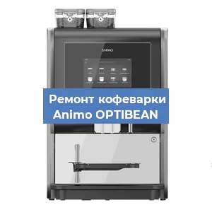 Замена фильтра на кофемашине Animo OPTIBEAN в Нижнем Новгороде